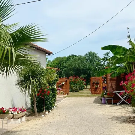 Confortable A 70 M² Avec Terrasse Appartement Bergerac